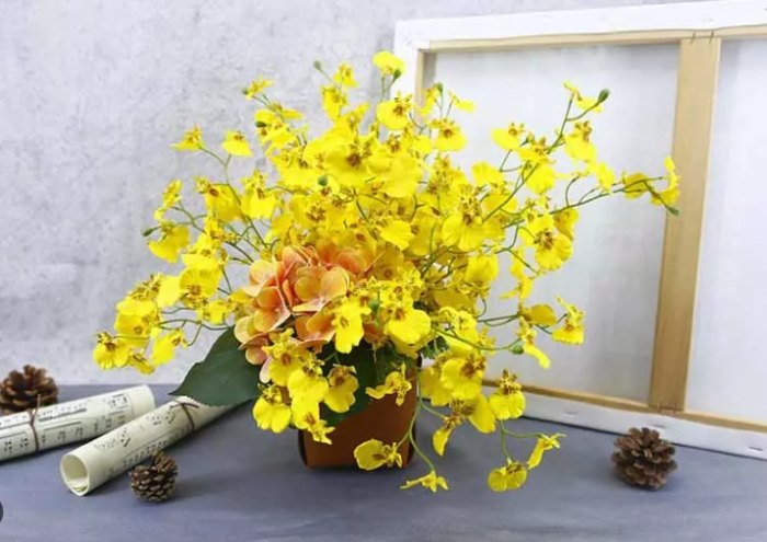 蘭花照顧 蘭花照顧
