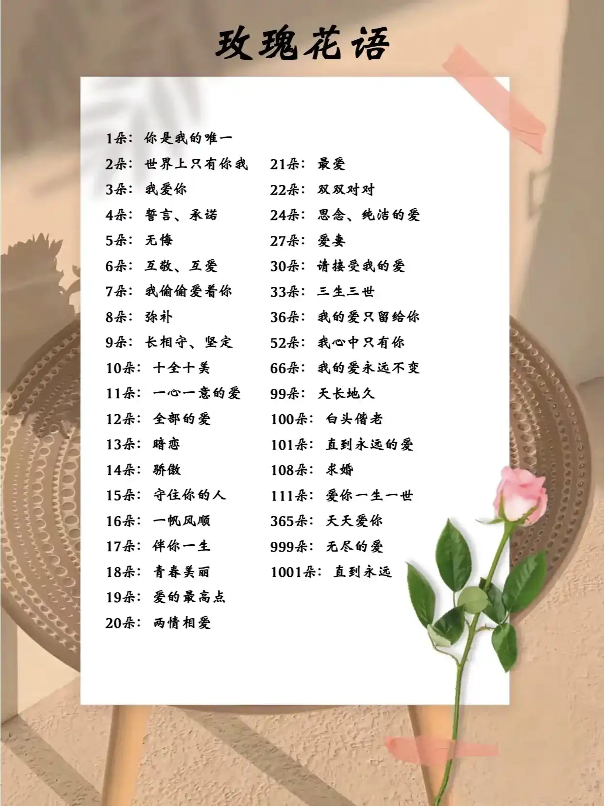 玫瑰花種植 玫瑰花種植