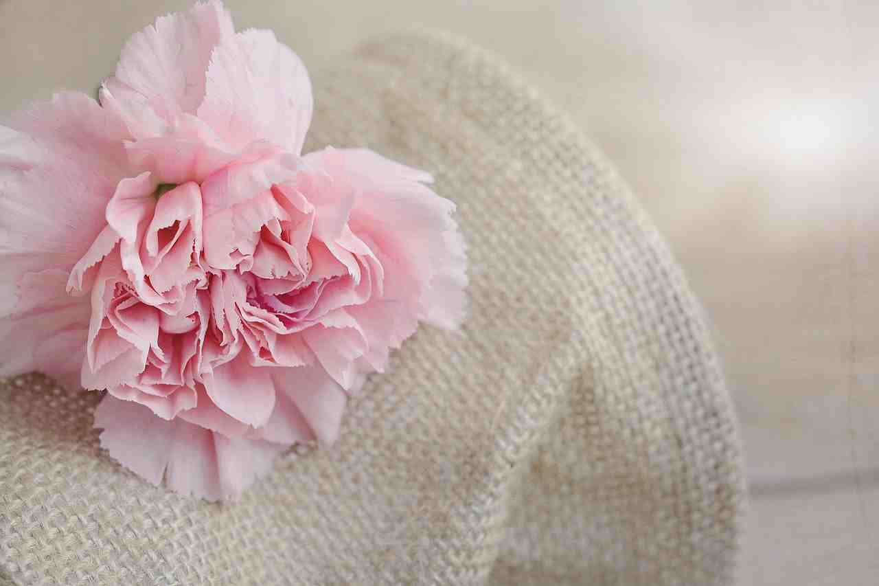 丁香花花語 丁香花花語